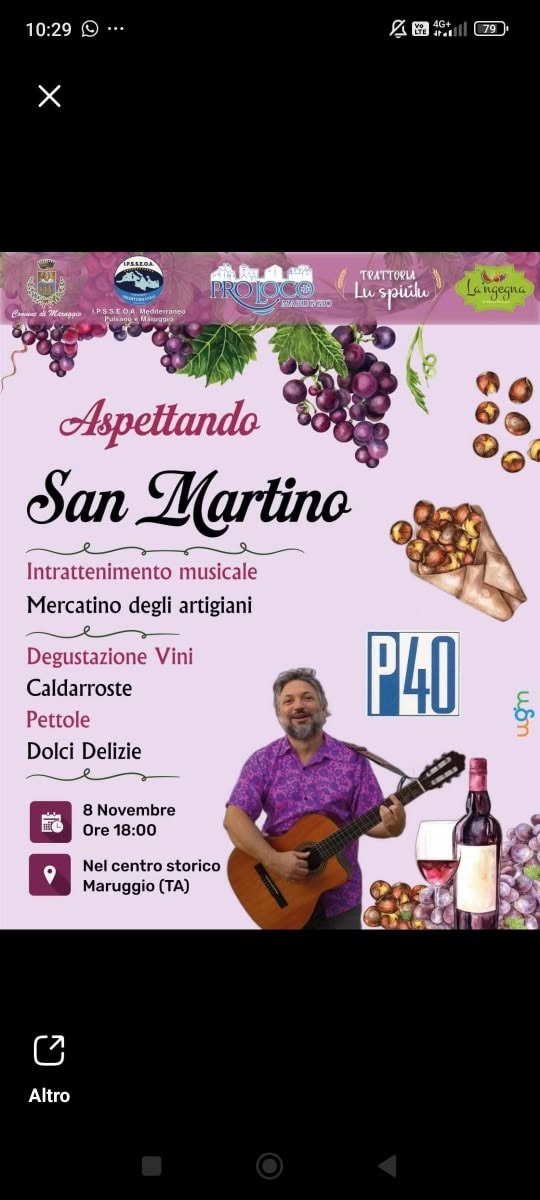 Locandina di Aspettando San Martino